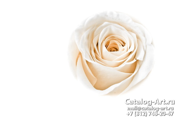 Натяжные потолки с фотопечатью - Белые розы 35